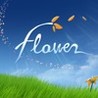 flower cover
