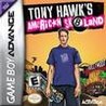 Tony Hawk’s American Sk8land cover