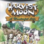Harvest Moon: A Wonderful Life cover