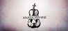 Anamorphine cover