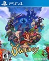 Owlboy cover