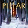 Pillar cover