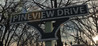 Pineview Drive cover