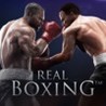 Real Boxing cover