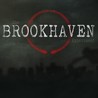 The Brookhaven Experiment cover