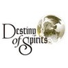 Destiny of Spirits cover