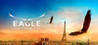 Eagle Flight cover