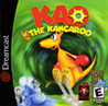 KAO the Kangaroo cover