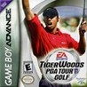 Tiger Woods PGA Tour Golf cover