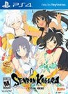 Senran Kagura: Estival Versus cover