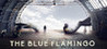 The Blue Flamingo cover