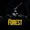 The Forest cover