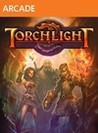 Torchlight cover