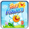 SunFlowers cover