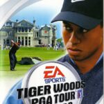 Tiger Woods PGA Tour 2003 cover